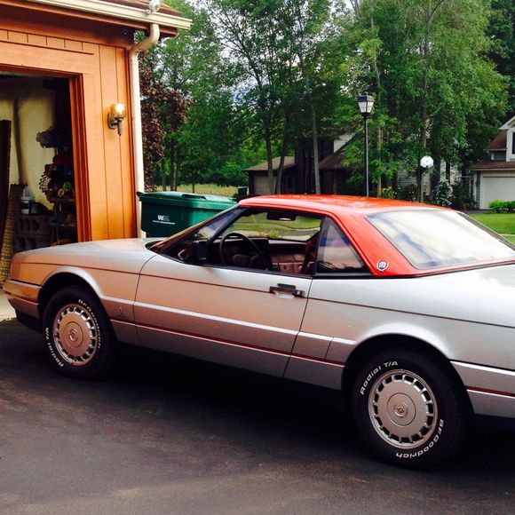 Meet your Posher, Michael - Picture 1 of 1